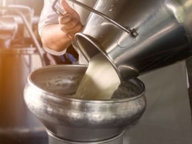 Farmer pouring raw milk from dairy farm into container for selling to industries or market